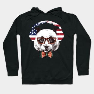 Funny Panda Headset Gamer 4th Of July America Flag Gaming Hoodie